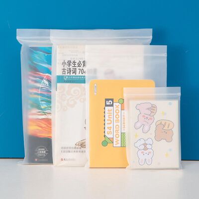 Customized printed logo clothing packaging matte CPE zipper lock sandblasted self-sealing bag, for shoe and sock storage